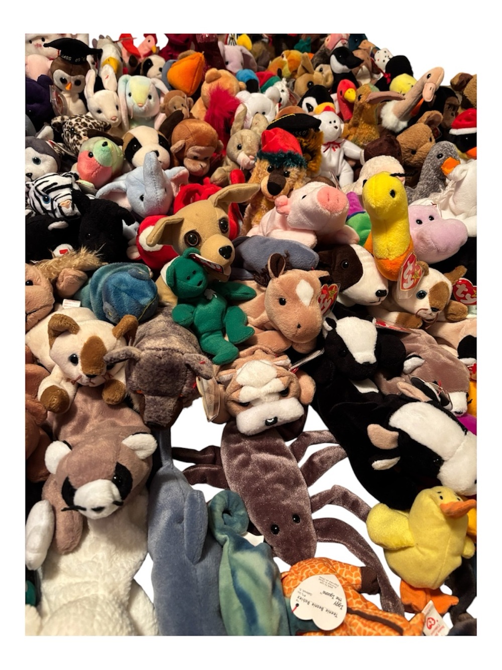 ✨ MASSIVE Vintage TY Beanie Babies Lot – 150+ Collection + Collectibles ✨ - Picture 4 of 5